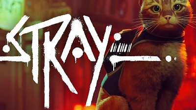 Stray